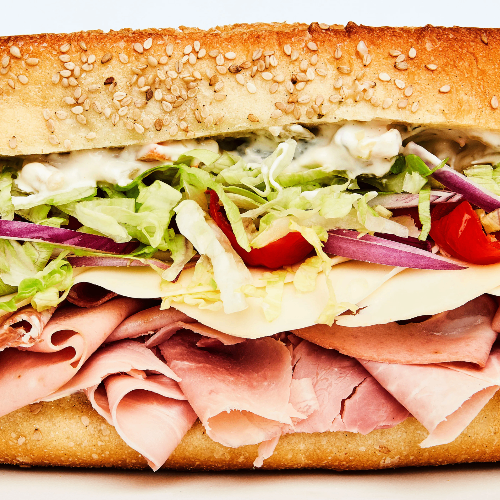 Regular Hoagie